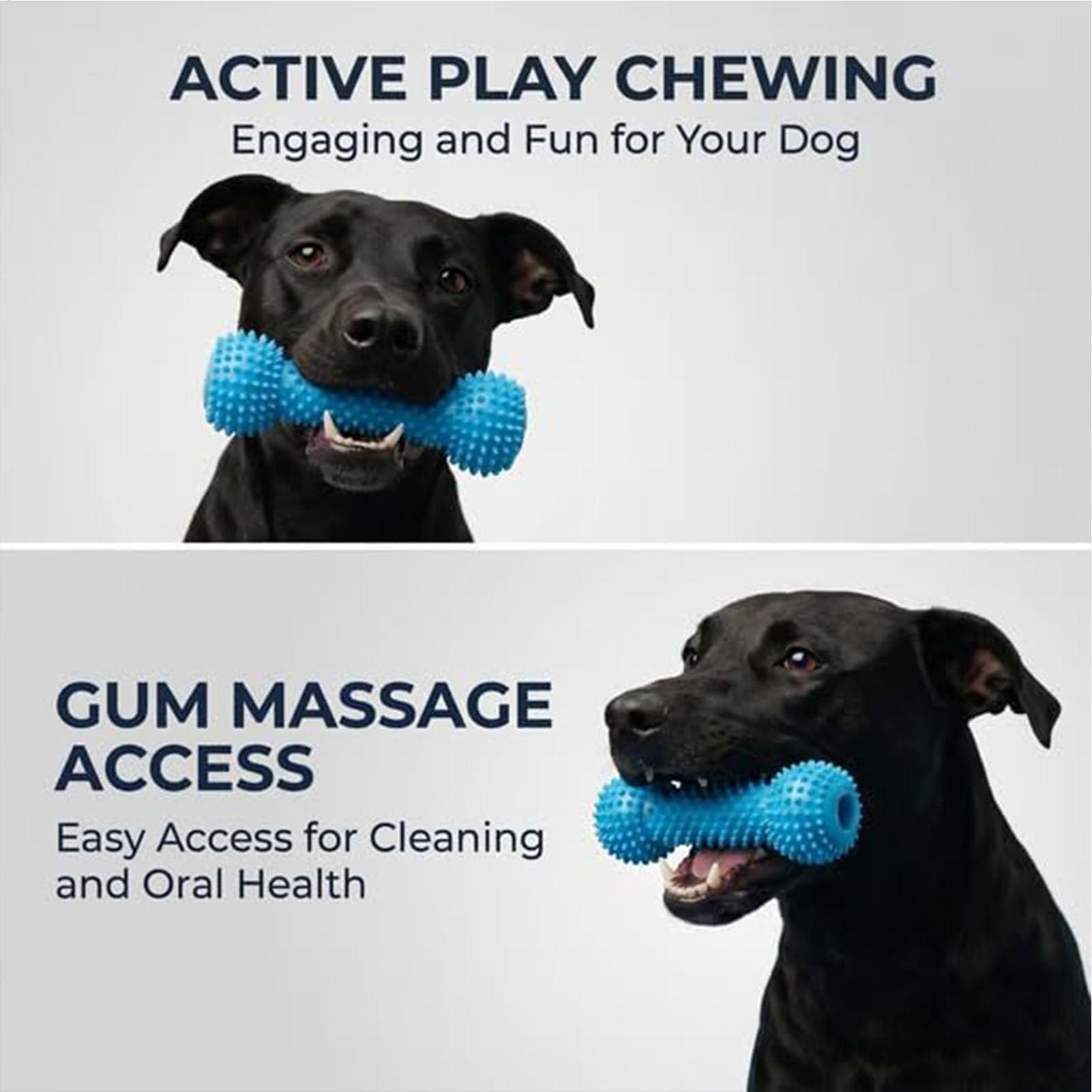 Zabawki do szczotkowania zębów – Rubber Treat Dispensing Dog Toy recenzja i cena