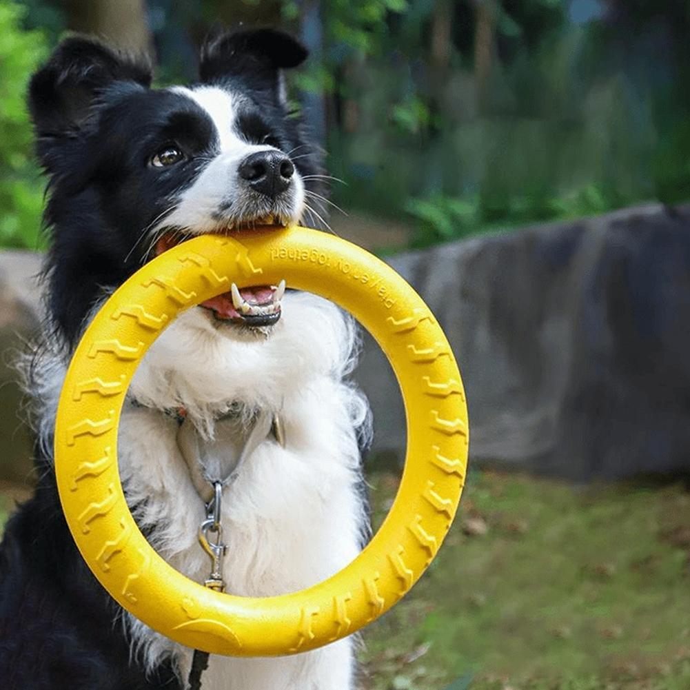 Zabawki dla psów w kształcie p – Indestructible Dog Chew Toy recenzja i cena